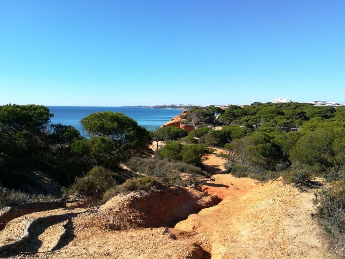 Algarve Friendly Apartment Albufeira Exterior foto